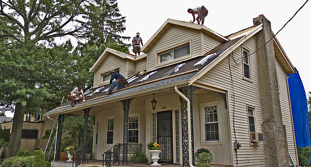 Best Metal Roofing Contractor  in Warm Springs, CA